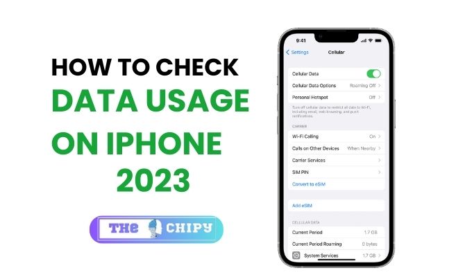 How to Check Data Usage on iPhone 2023